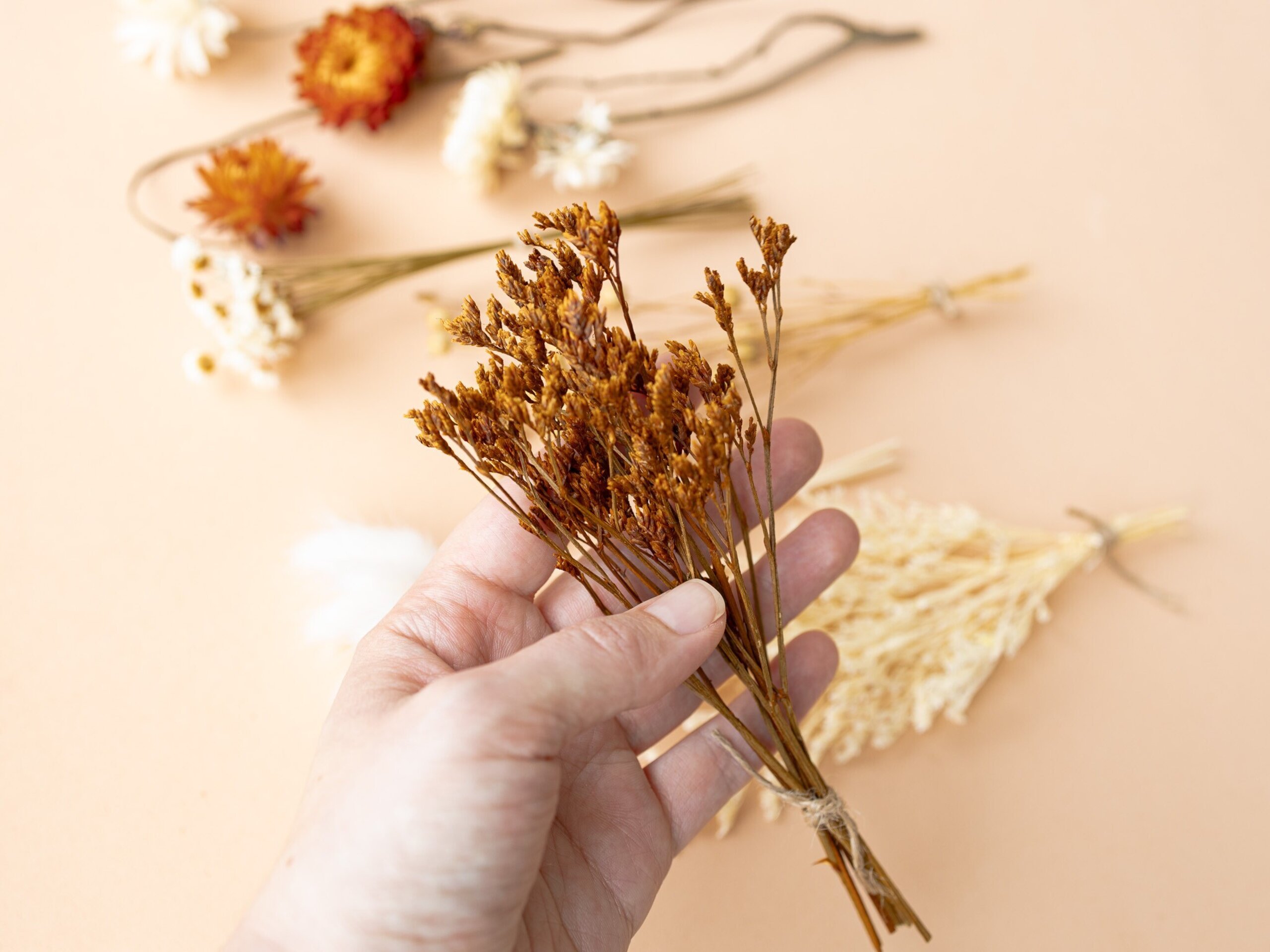 Kit de flores secas "Terracotta" 16 cm para manualidades - 5