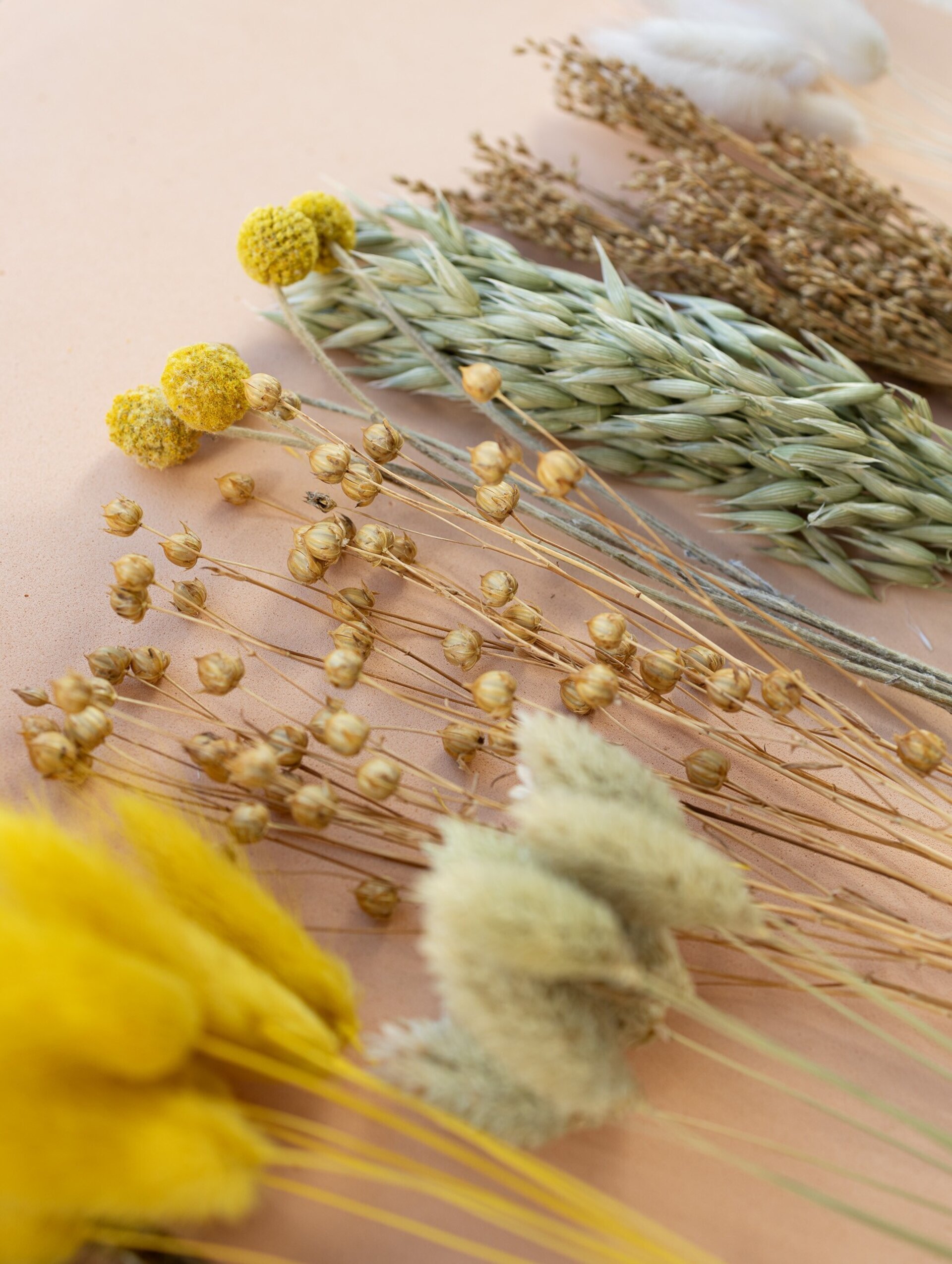 Kit de flores secas "Yellow Meadow" 35 cm para manualidades - 5