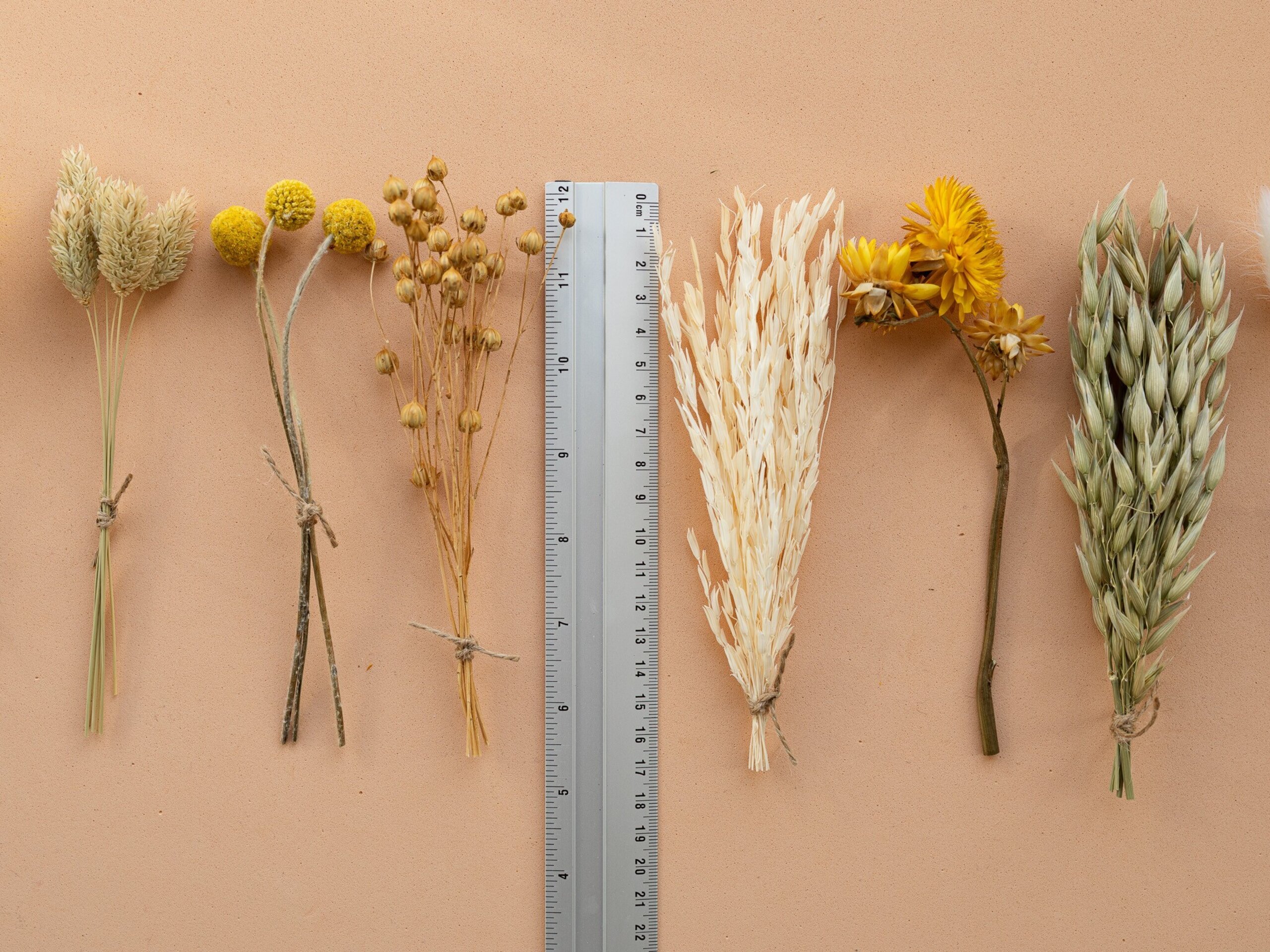 Kit de flores secas "Yellow Meadow" 16 cm para manualidades - 4