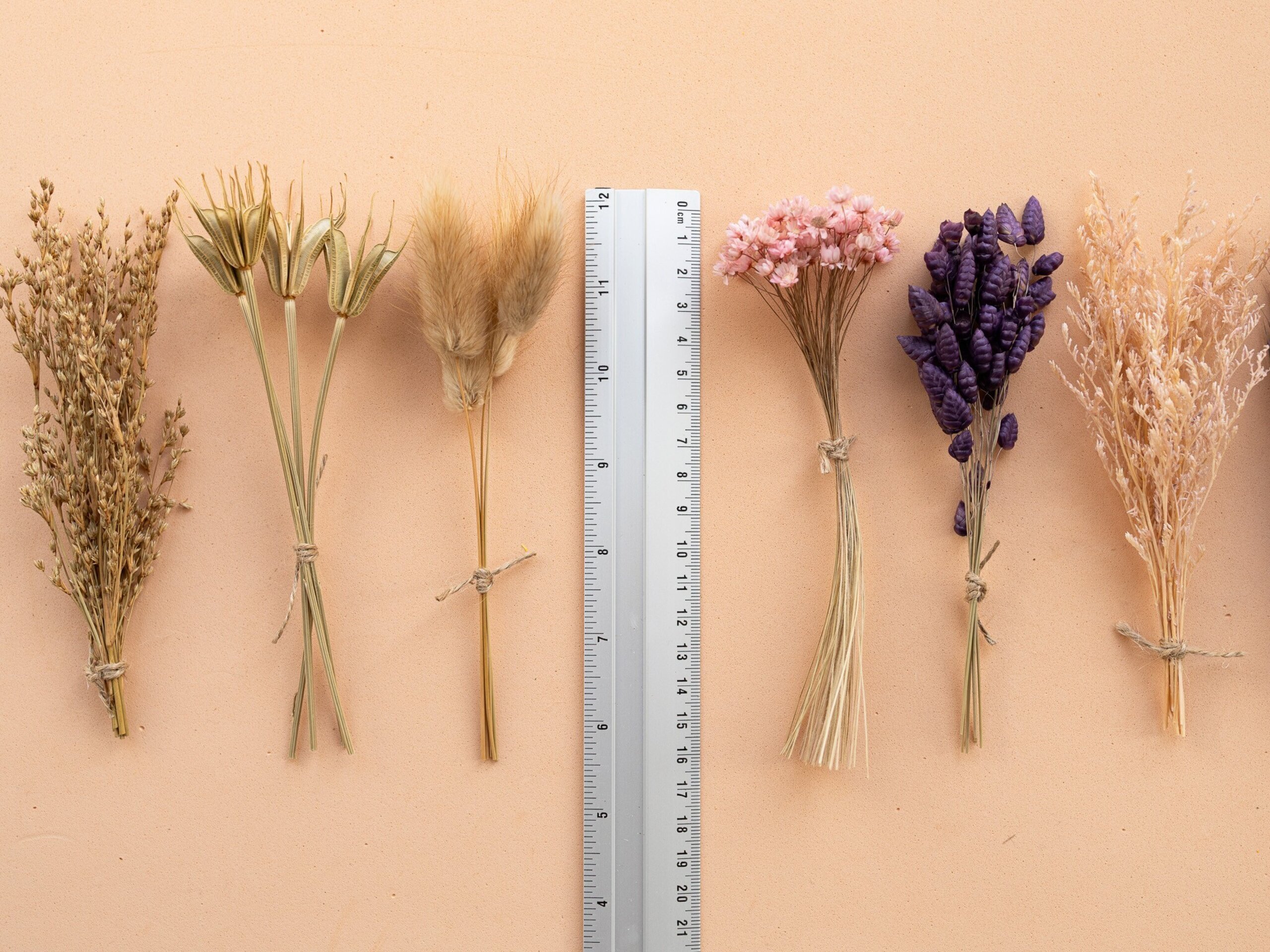 Kit de flores secas "Purple Bloom" 16 cm para manualidades - 6