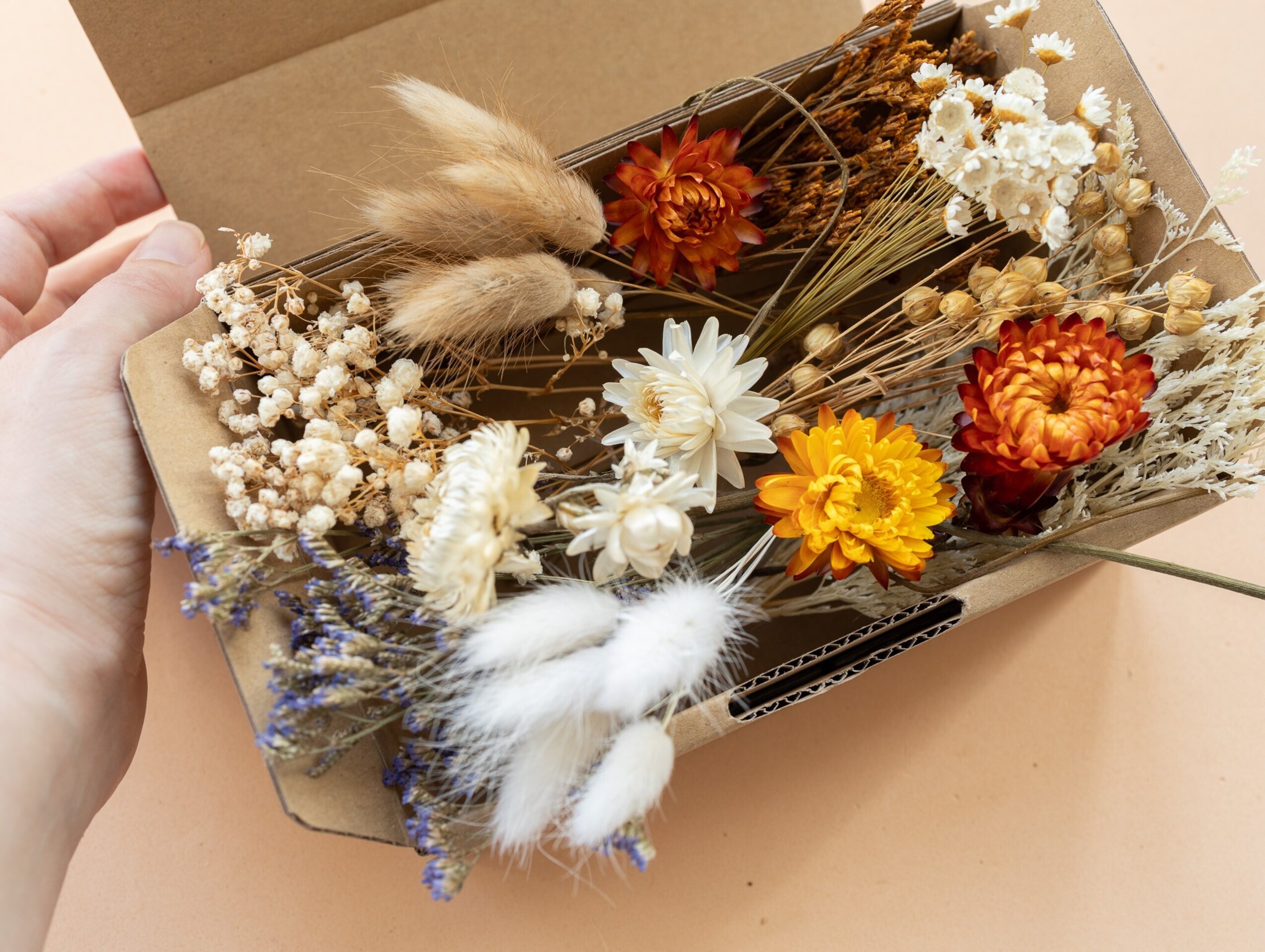 Kit de flores secas "Terracotta" 16 cm para manualidades - 9