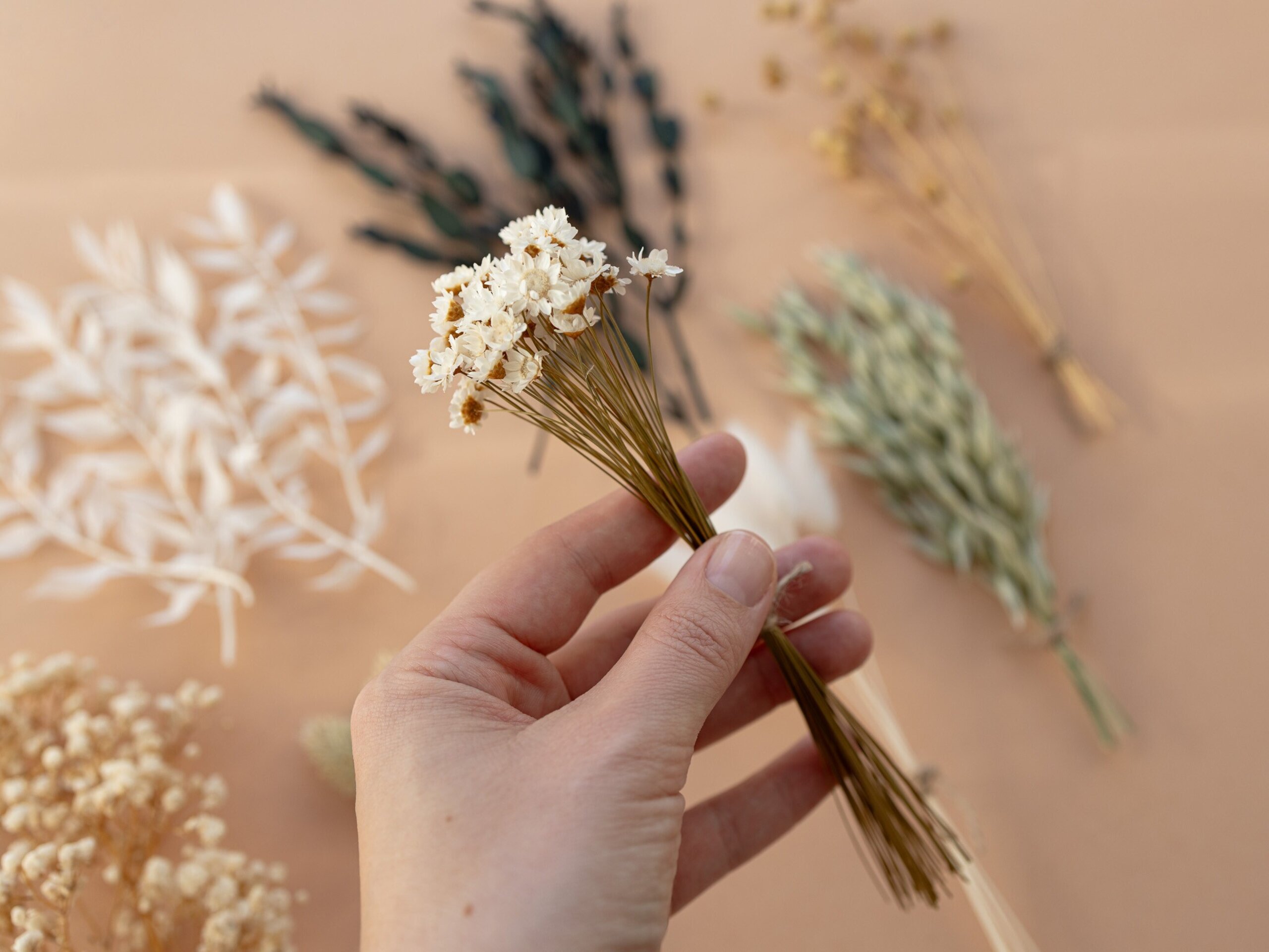 Kit de flores secas "Verde Natural" 16 cm para manualidades - 6