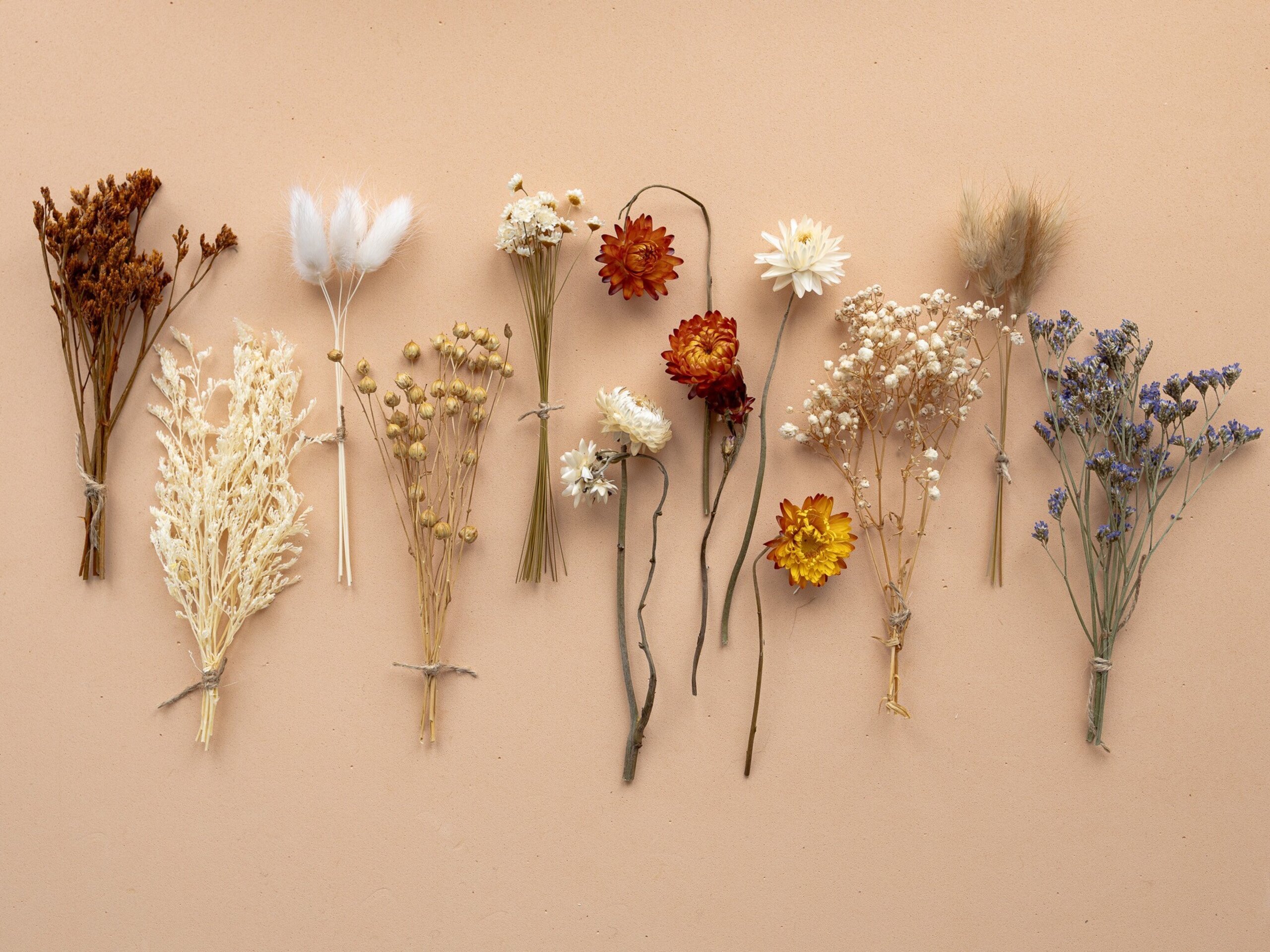 Kit de flores secas "Terracotta" 16 cm para manualidades - 2