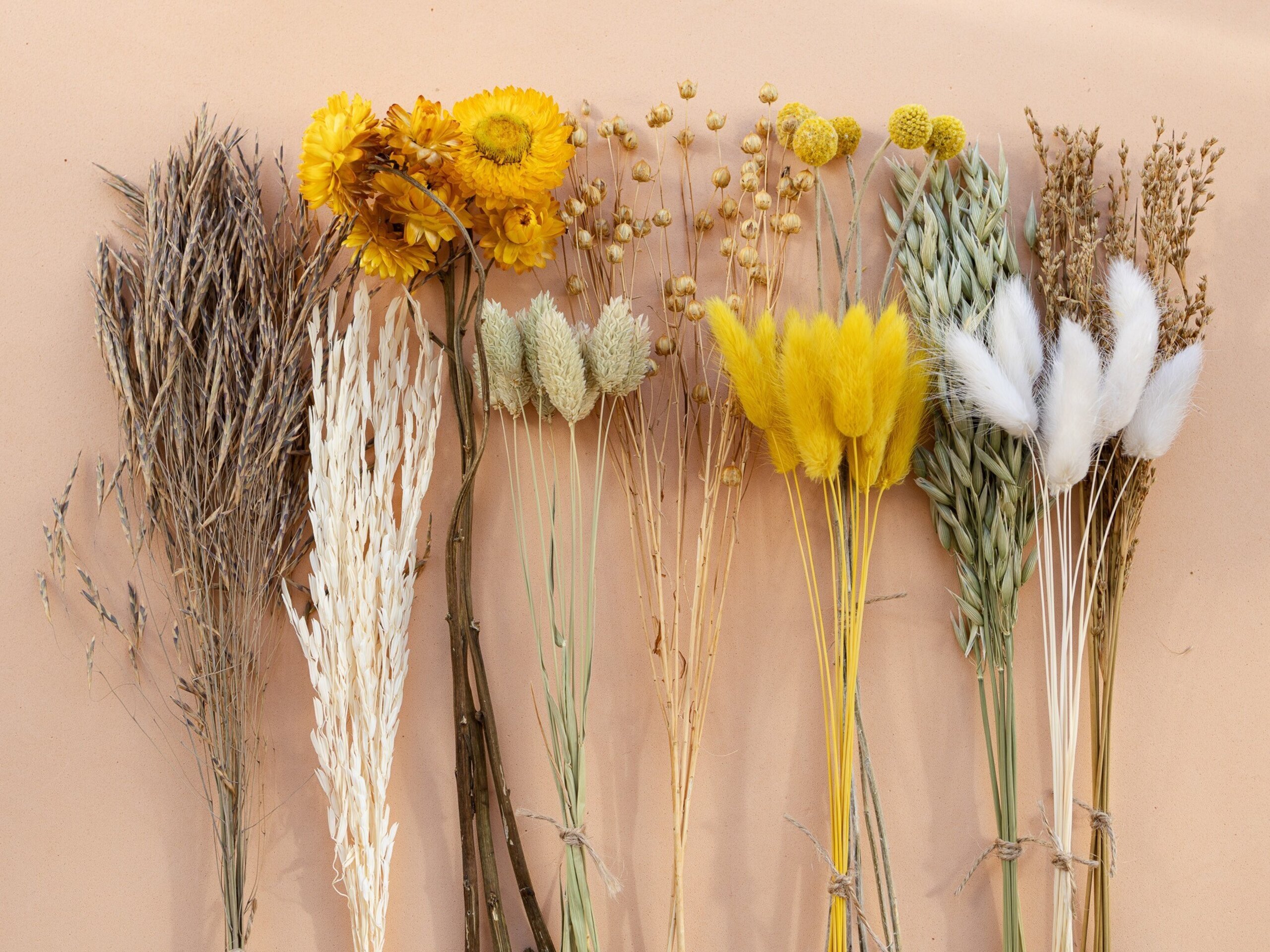 Kit de flores secas "Yellow Meadow" 35 cm para manualidades - 2