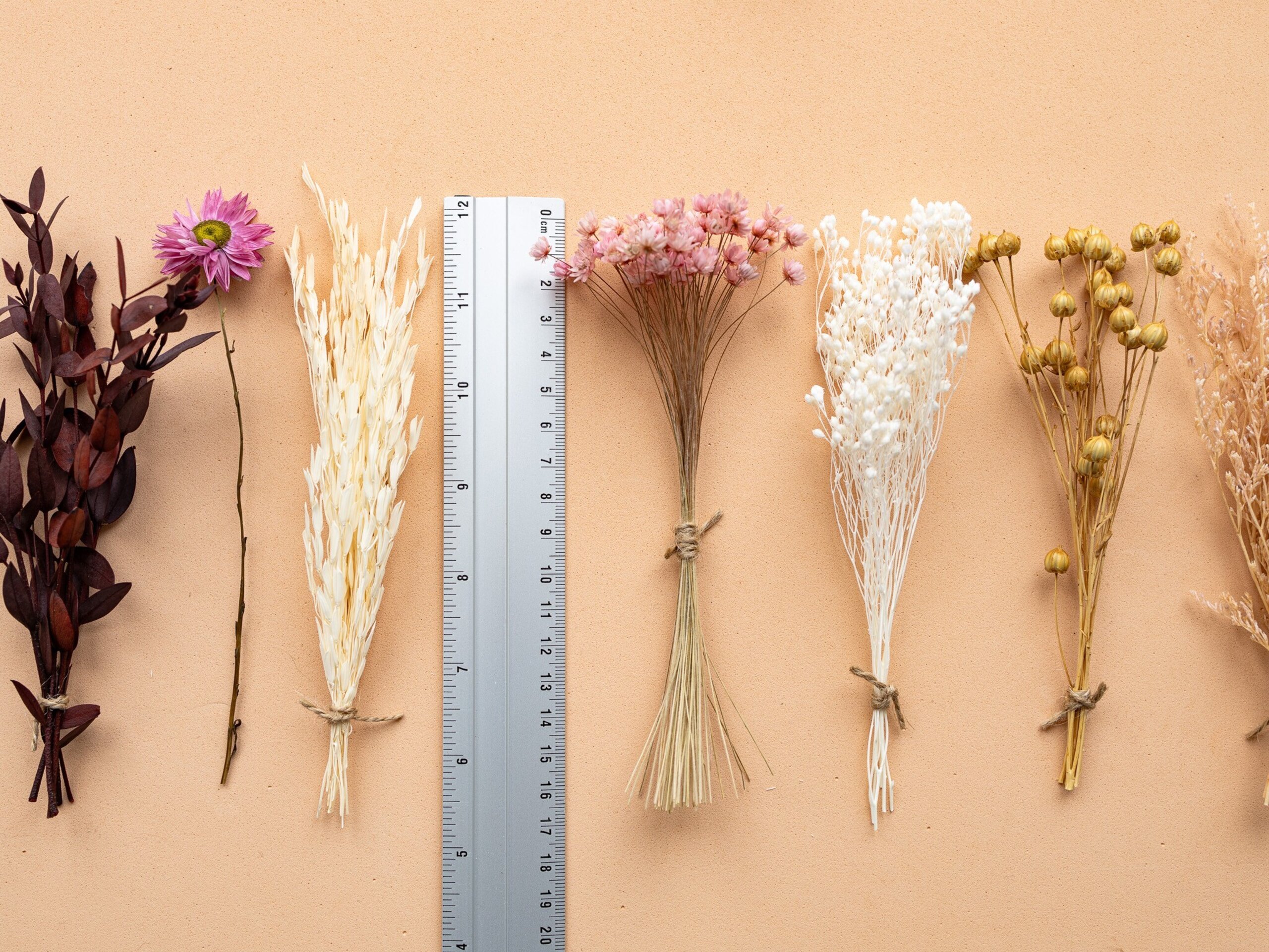 Kit de flores secas "Pink Bloom" 16 cm para manualidades - 6