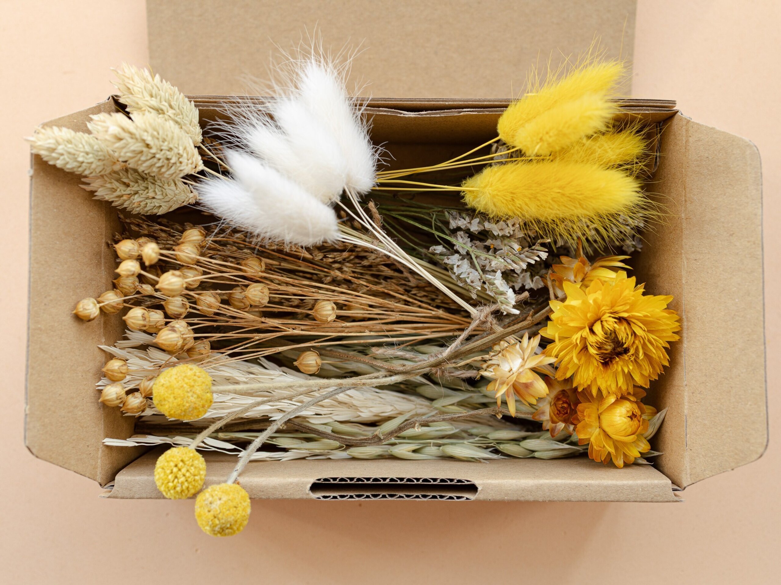 Kit de flores secas "Yellow Meadow" 16 cm para manualidades - 10