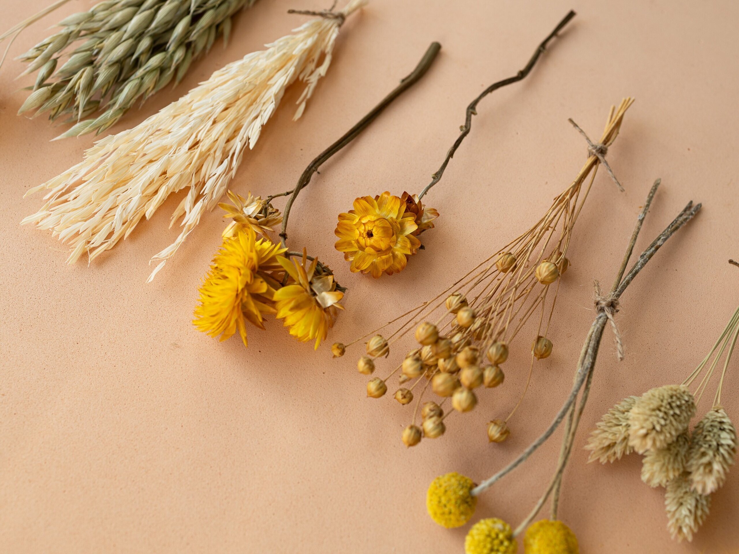 Kit de flores secas "Yellow Meadow" 16 cm para manualidades - 8