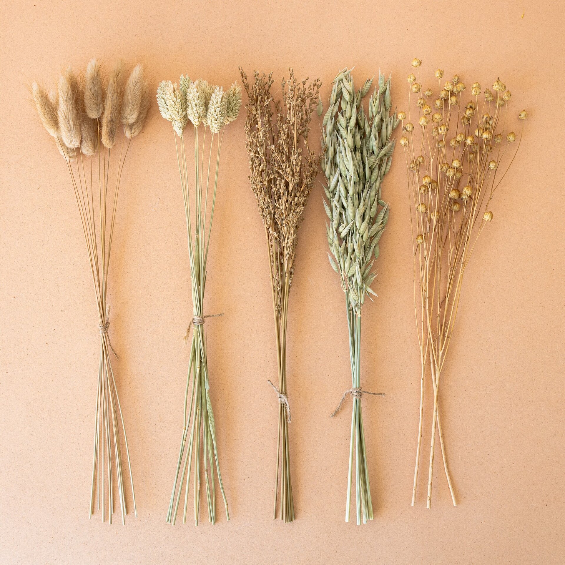 Conjunto de hierbas secas naturales 35 cm - 4