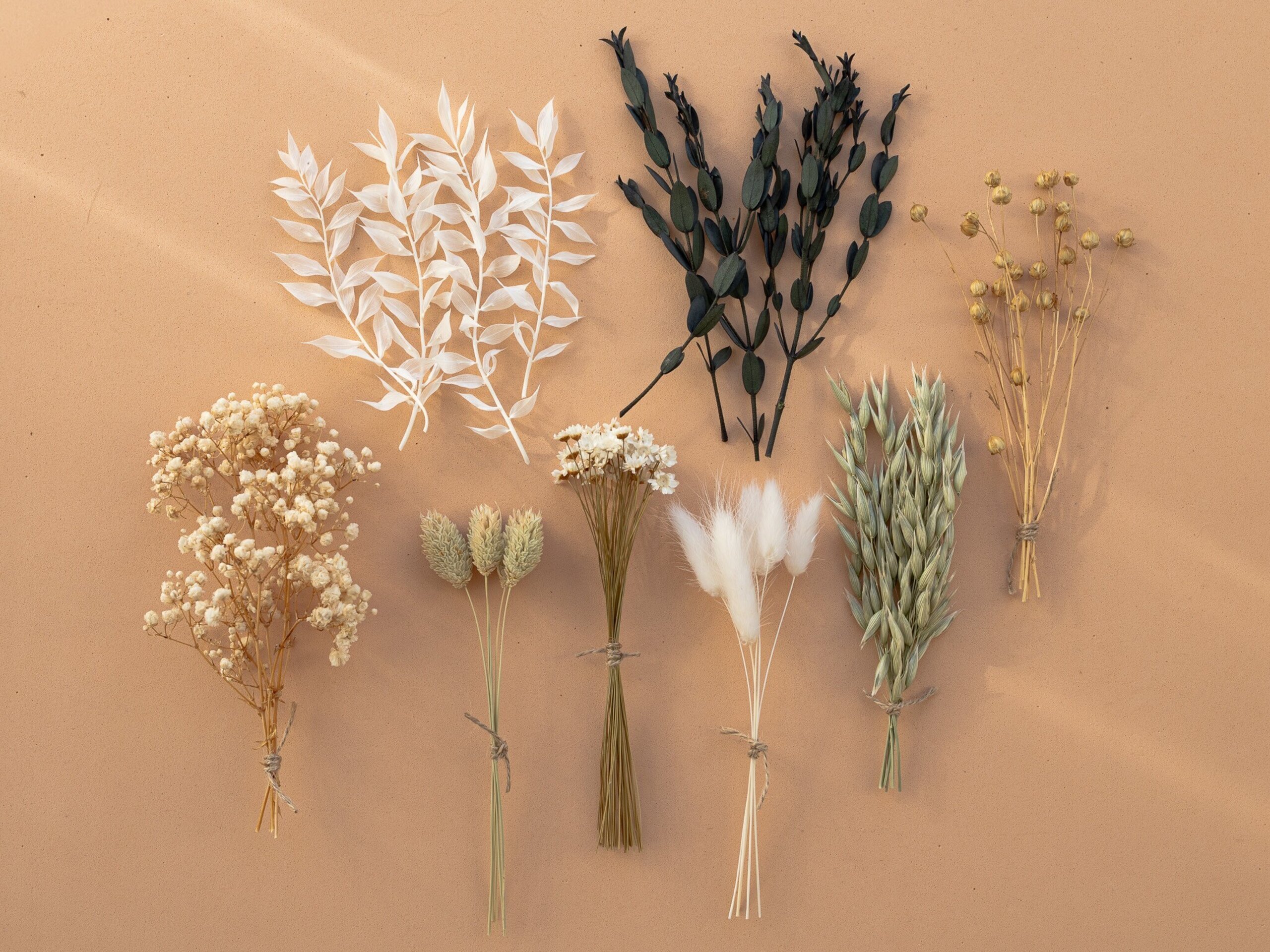 Kit de flores secas "Verde Natural" 16 cm para manualidades - 3