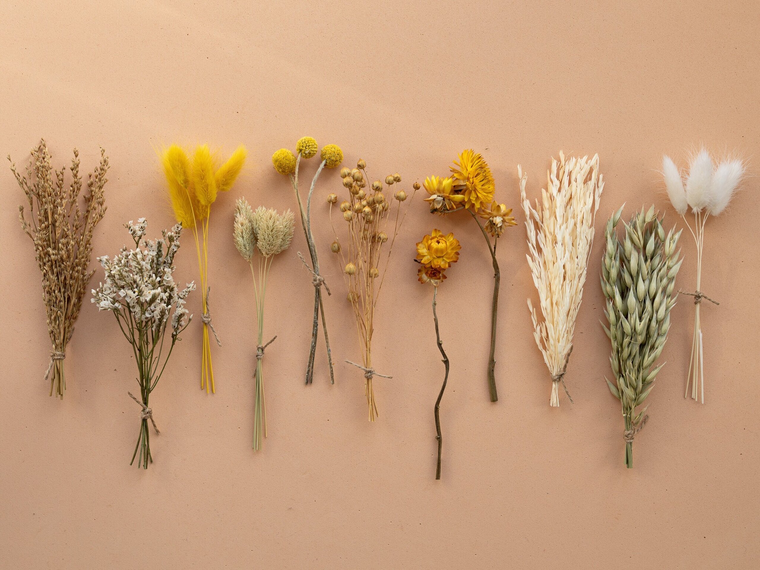 Kit de flores secas "Yellow Meadow" 16 cm para manualidades - 3