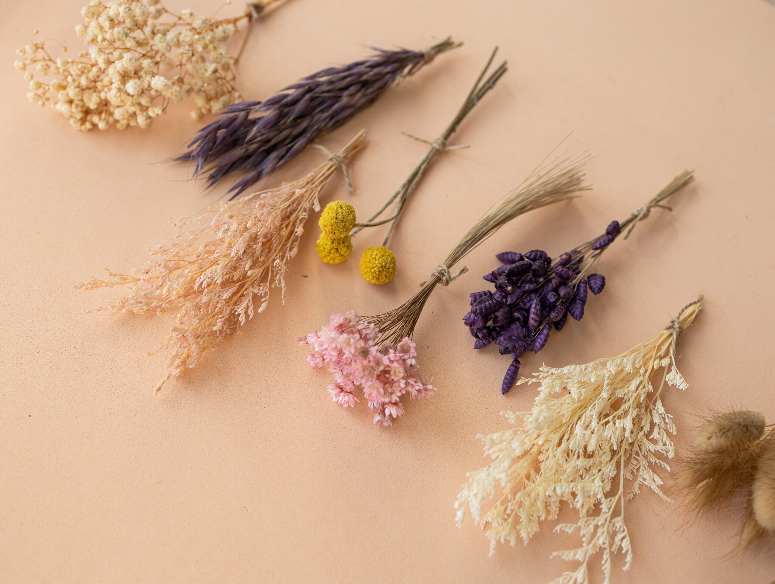 Kit de flores secas "Purple Bloom" 16 cm para manualidades - 3