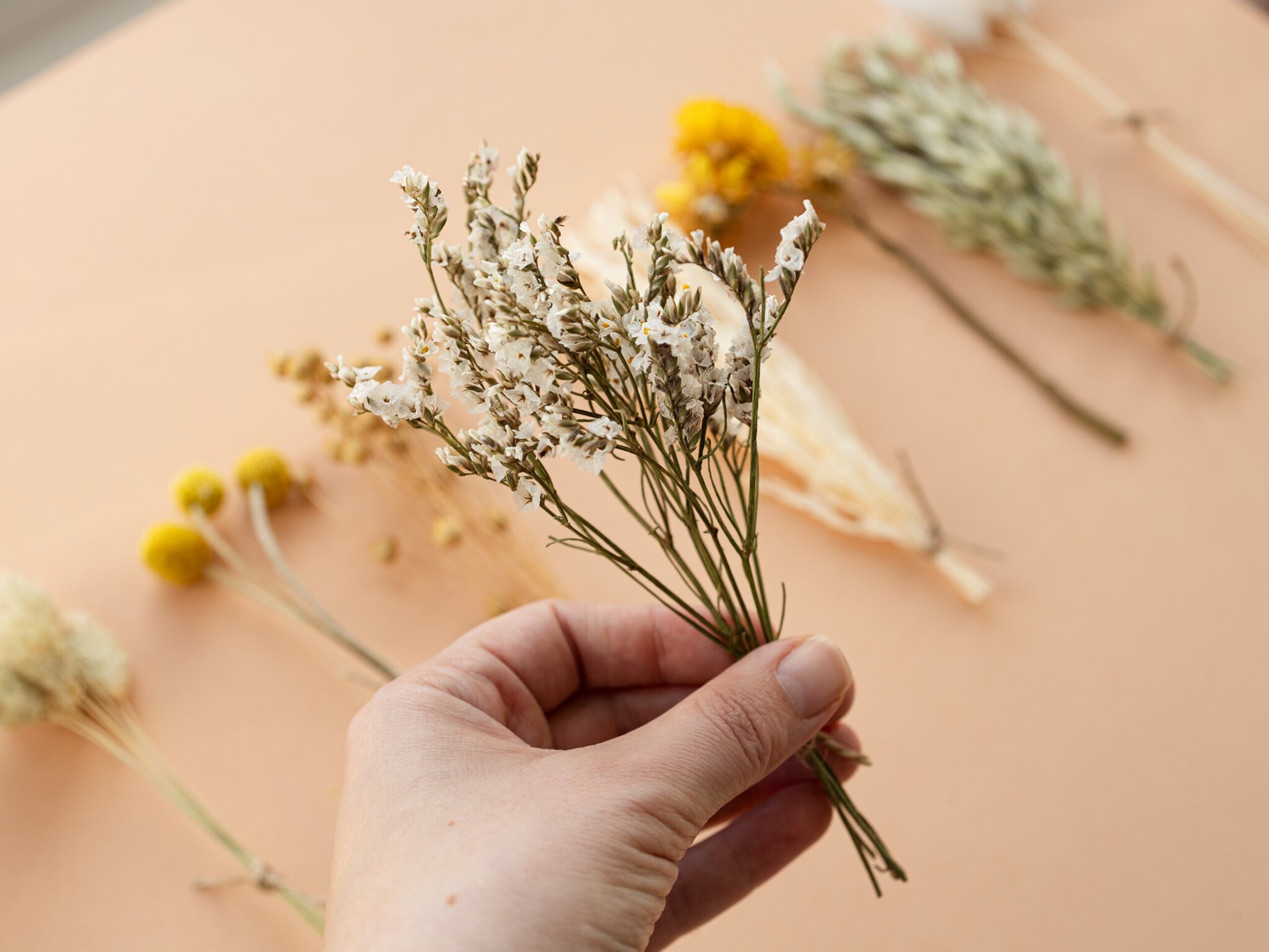 Kit de flores secas "Yellow Meadow" 16 cm para manualidades - 5