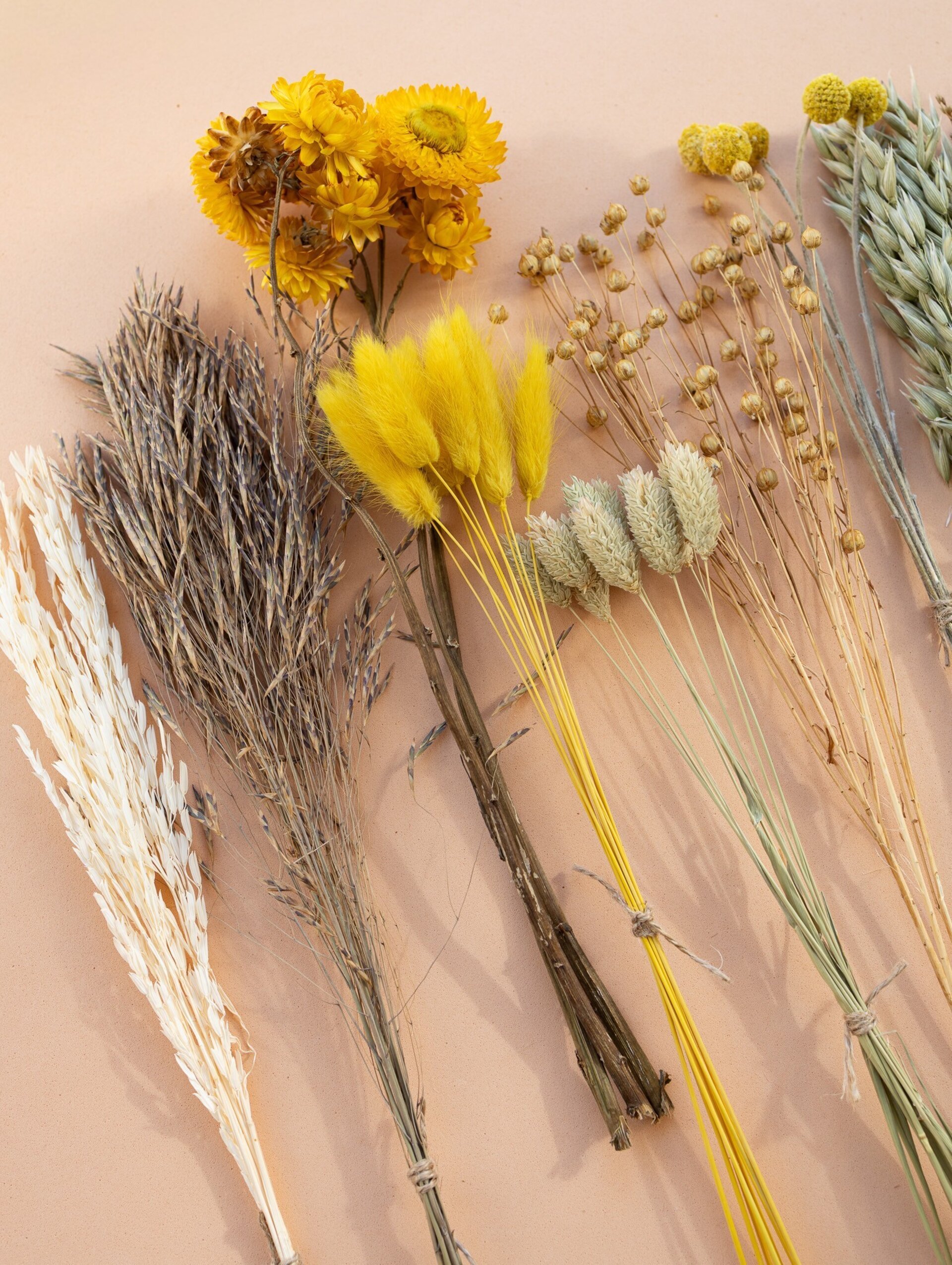 Kit de flores secas "Yellow Meadow" 35 cm para manualidades - 3