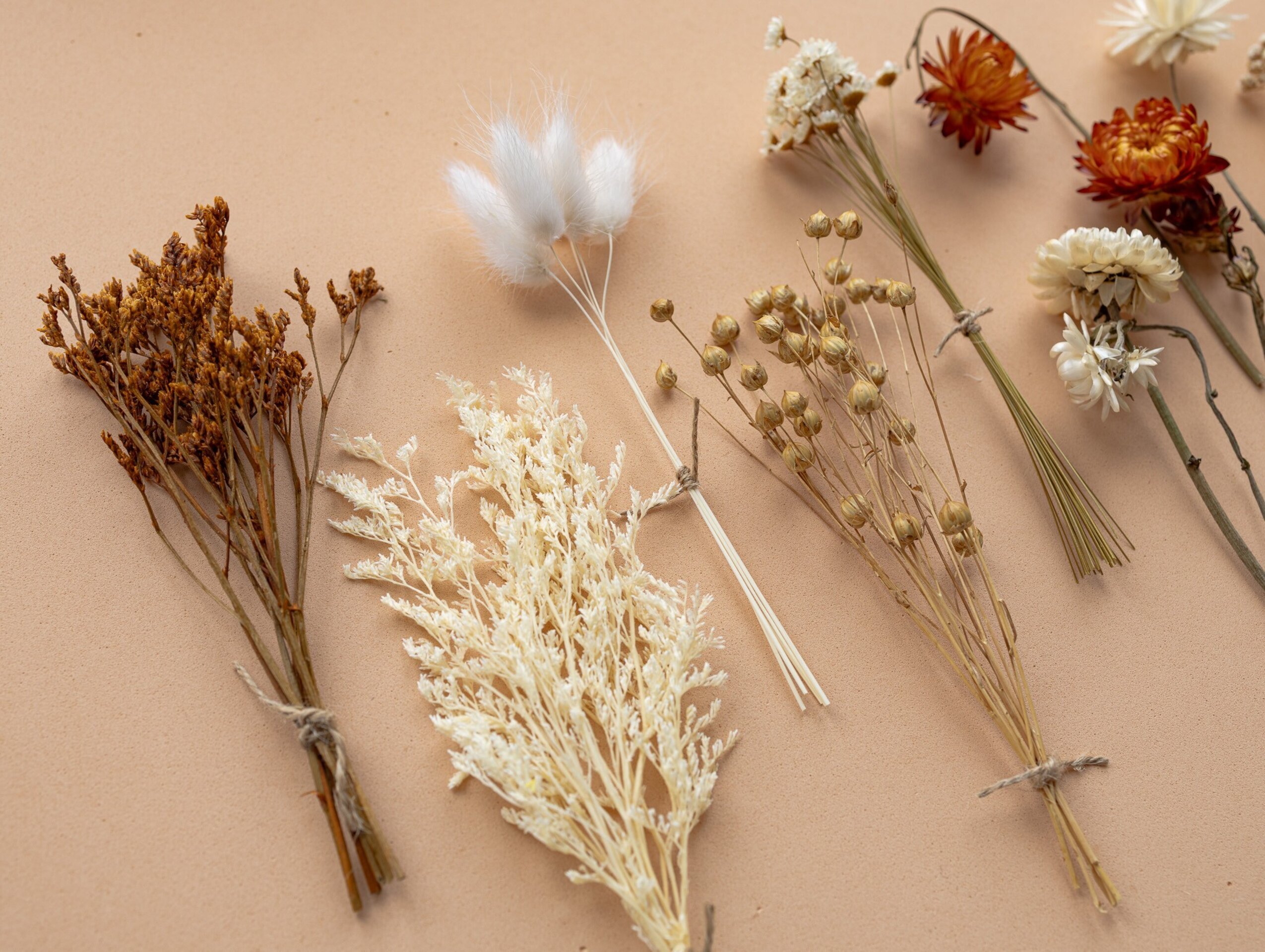 Kit de flores secas "Terracotta" 16 cm para manualidades - 8