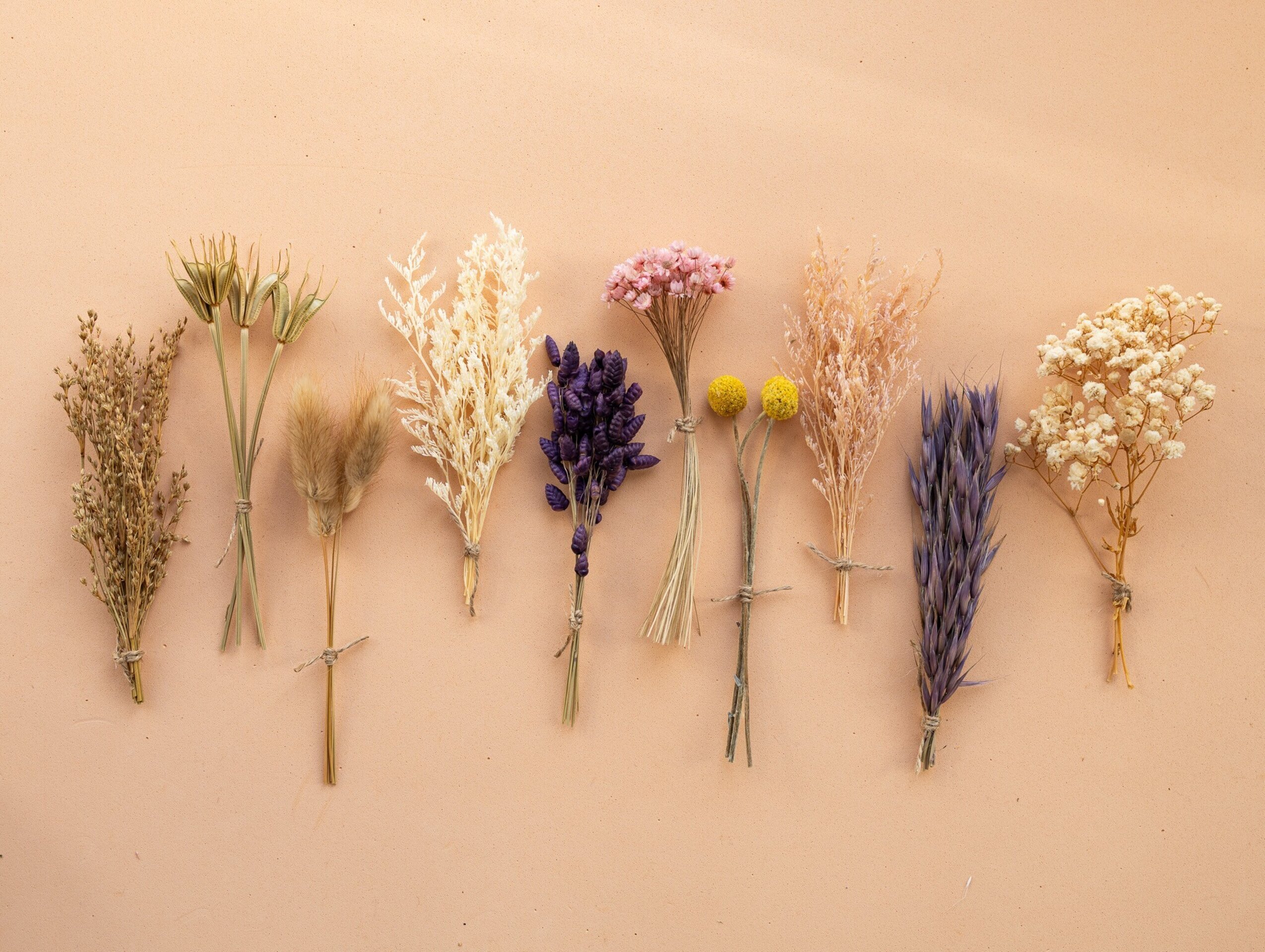 Kit de flores secas "Purple Bloom" 16 cm para manualidades - 2