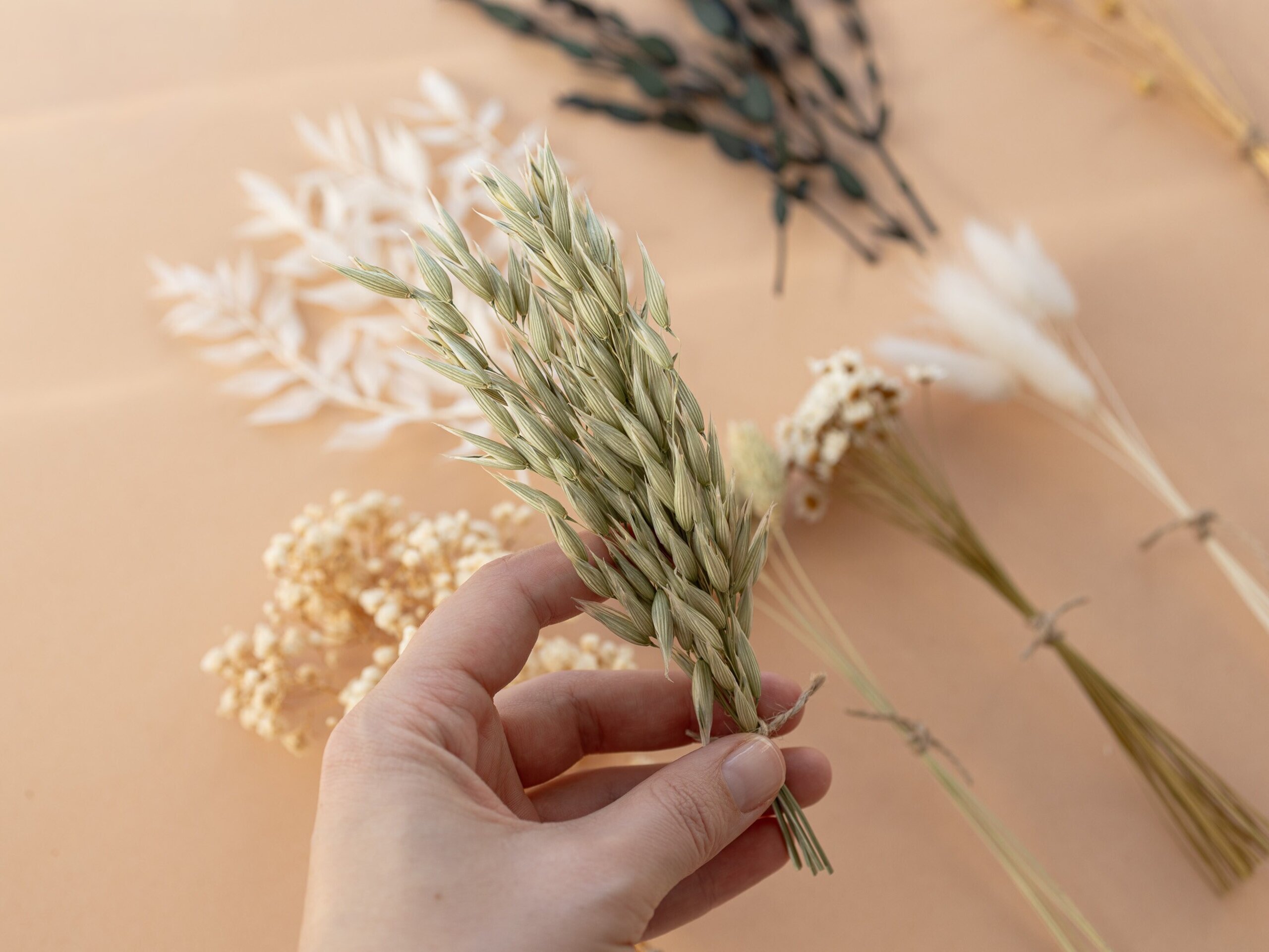 Kit de flores secas "Verde Natural" 16 cm para manualidades - 5