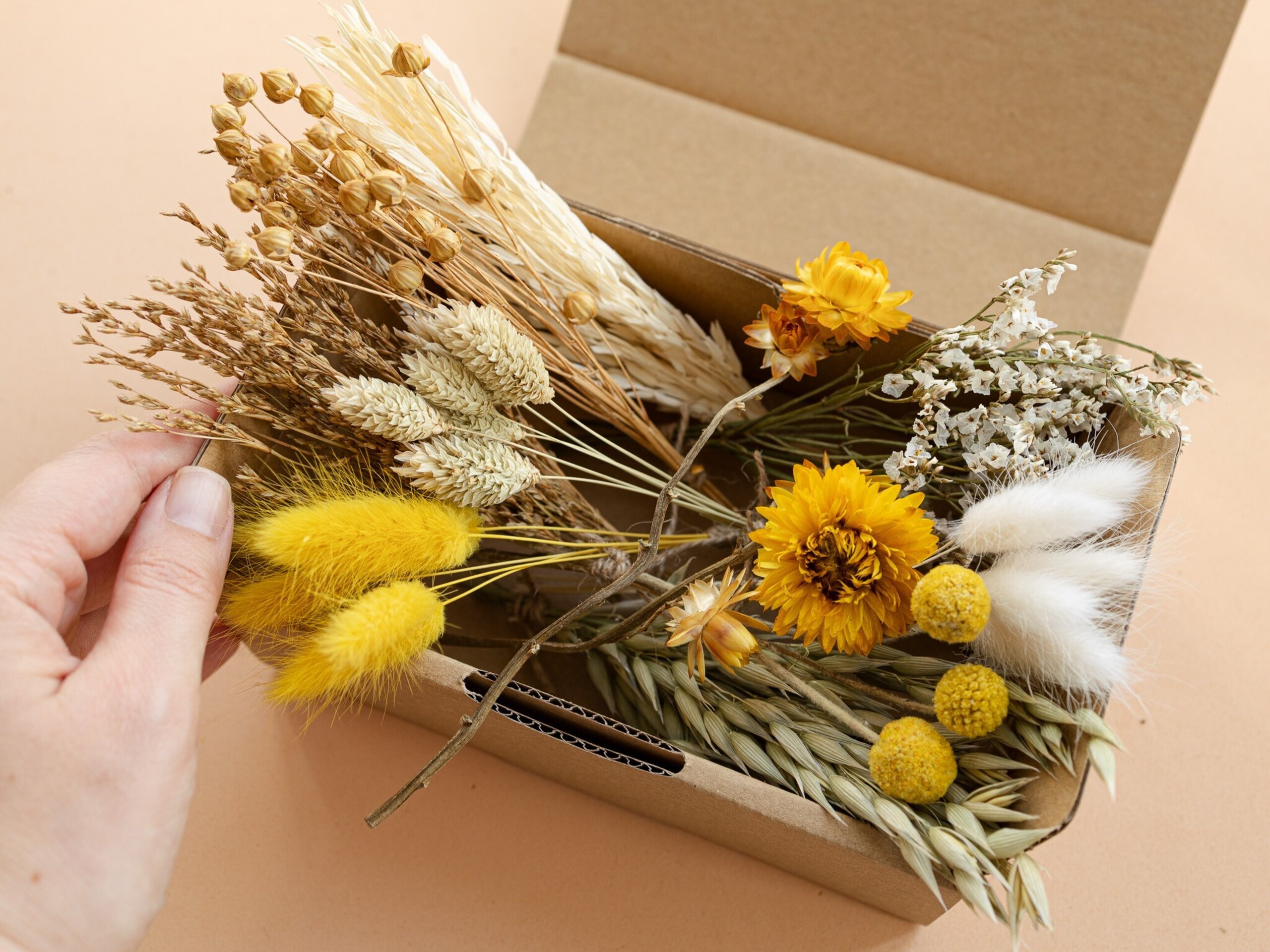 Kit de flores secas "Yellow Meadow" 16 cm para manualidades - 2