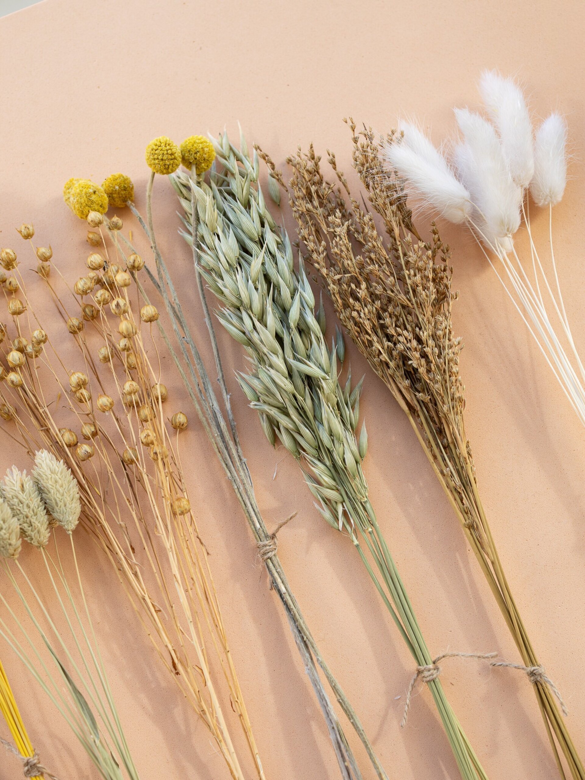 Kit de flores secas "Yellow Meadow" 35 cm para manualidades - 4