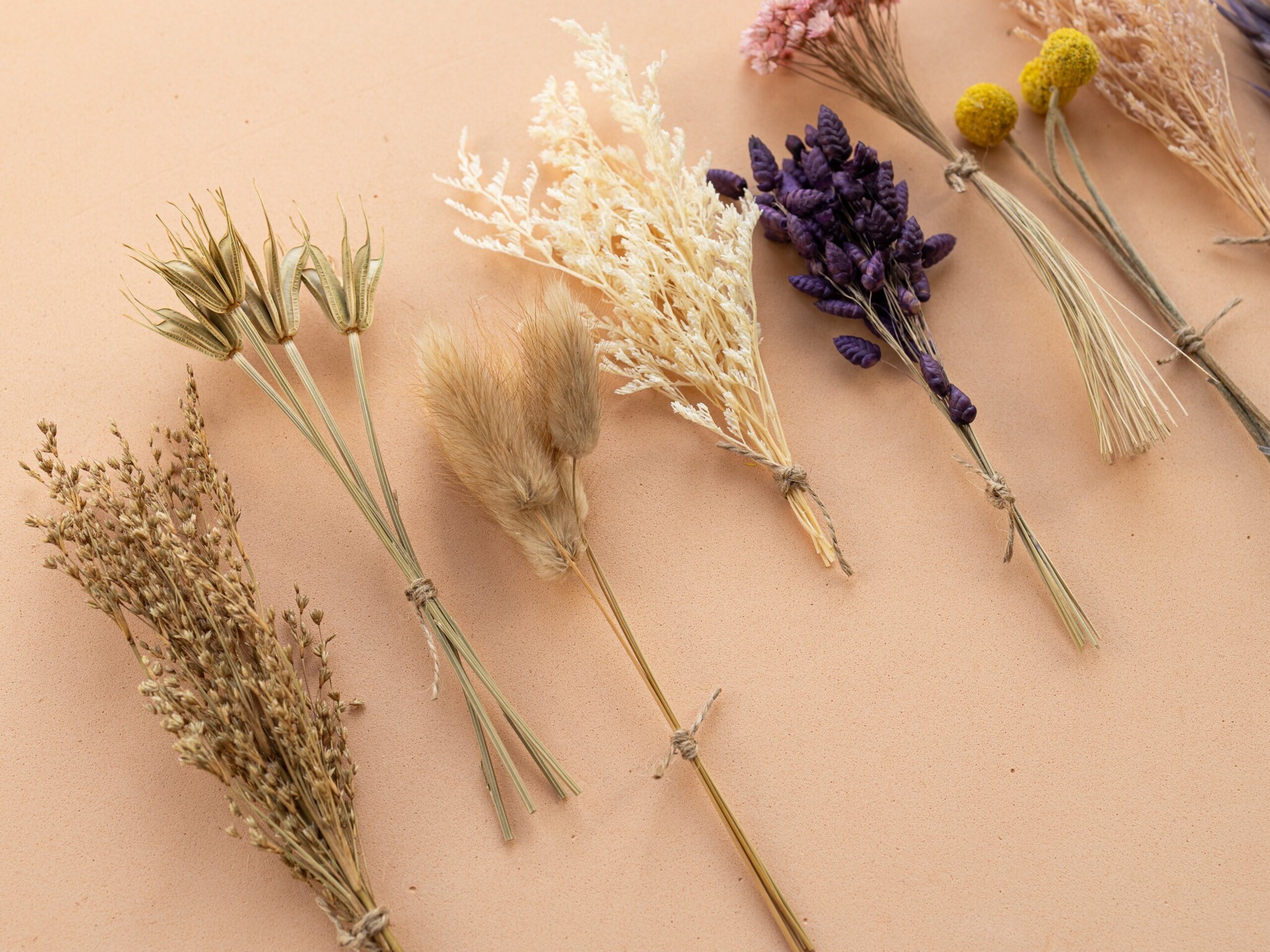 Kit de flores secas "Purple Bloom" 16 cm para manualidades - 7