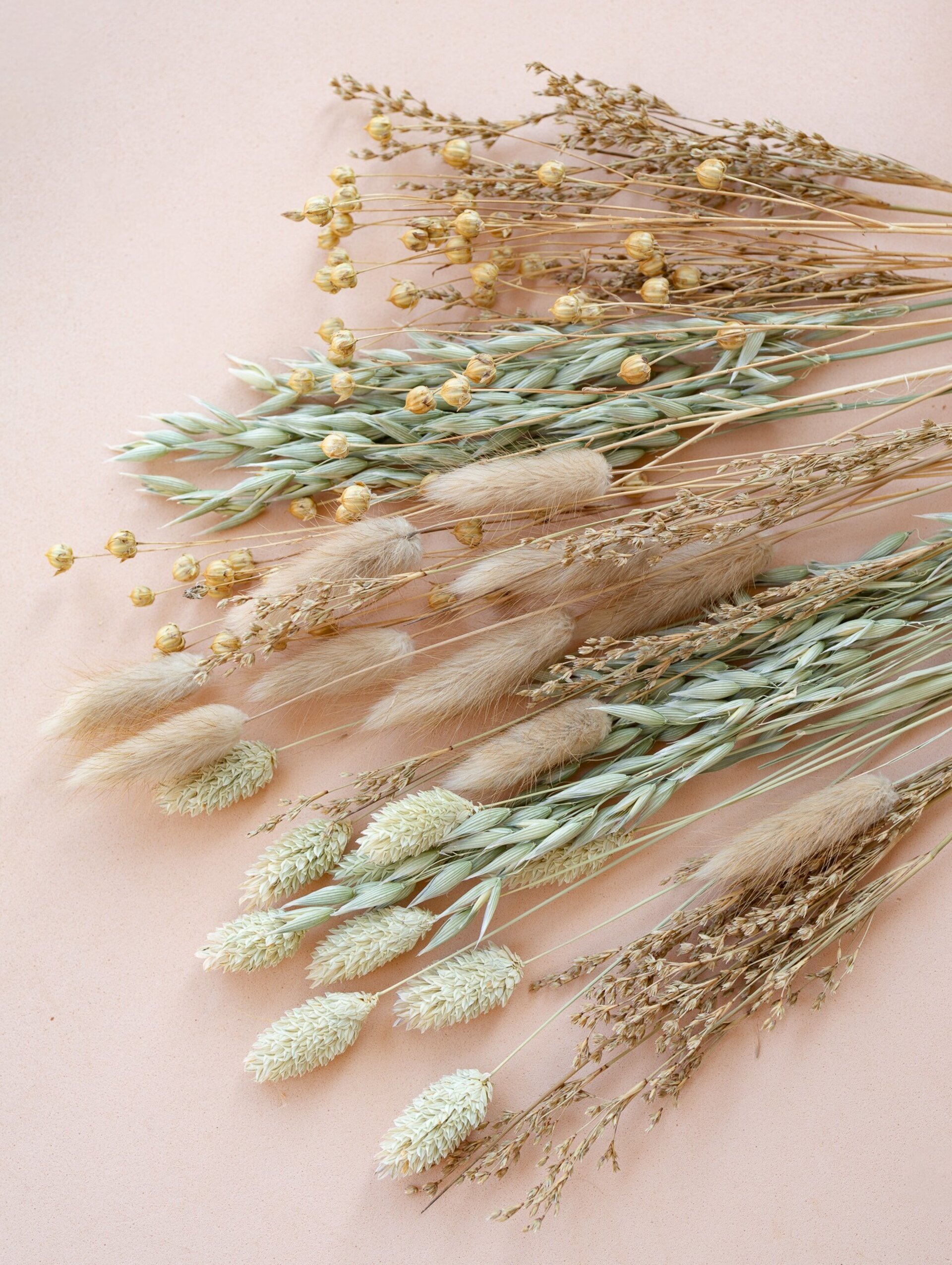 Conjunto de hierbas secas naturales 35 cm - 6