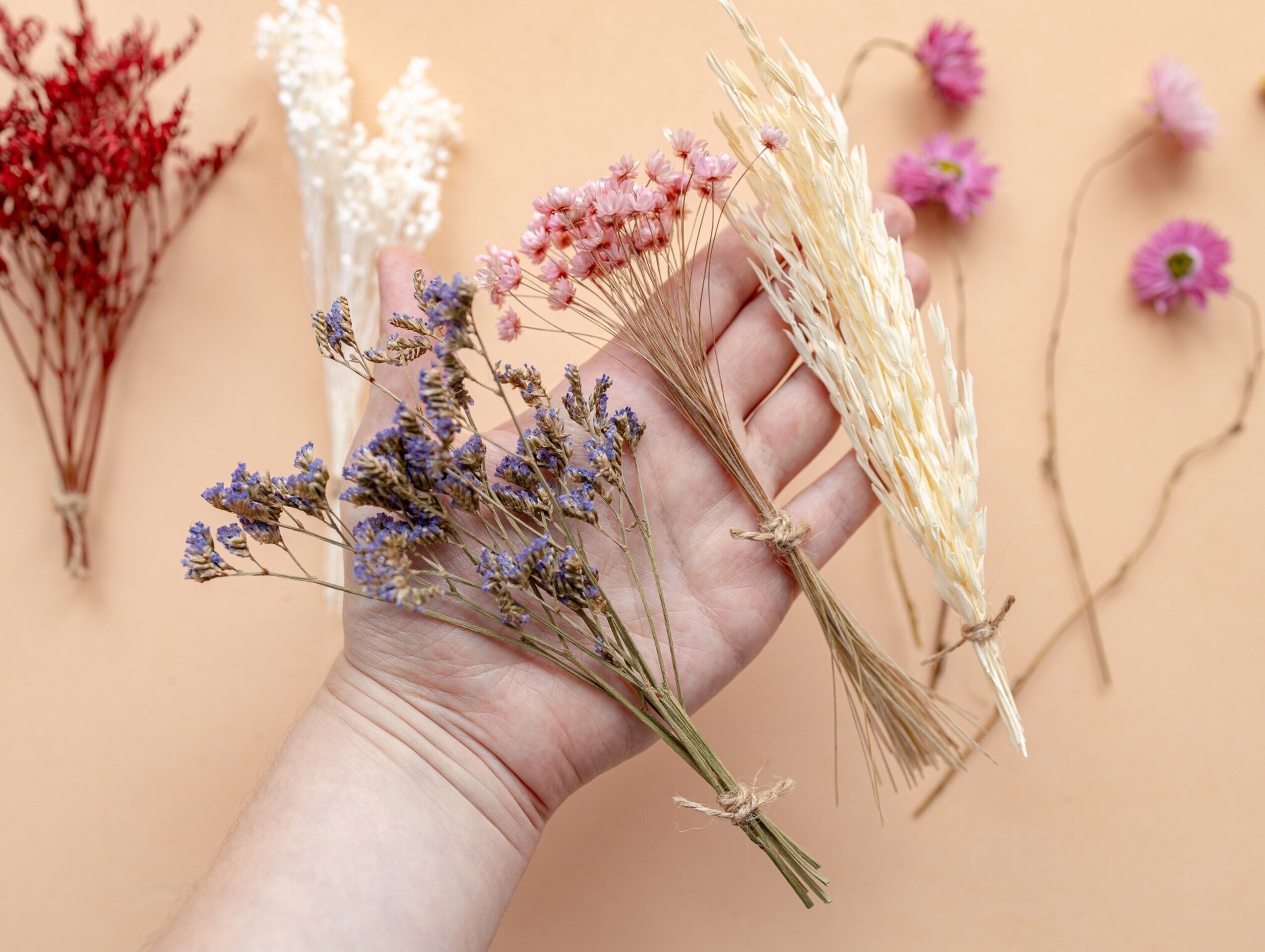 Kit de flores secas "Pink Bloom" 16 cm para manualidades - 4