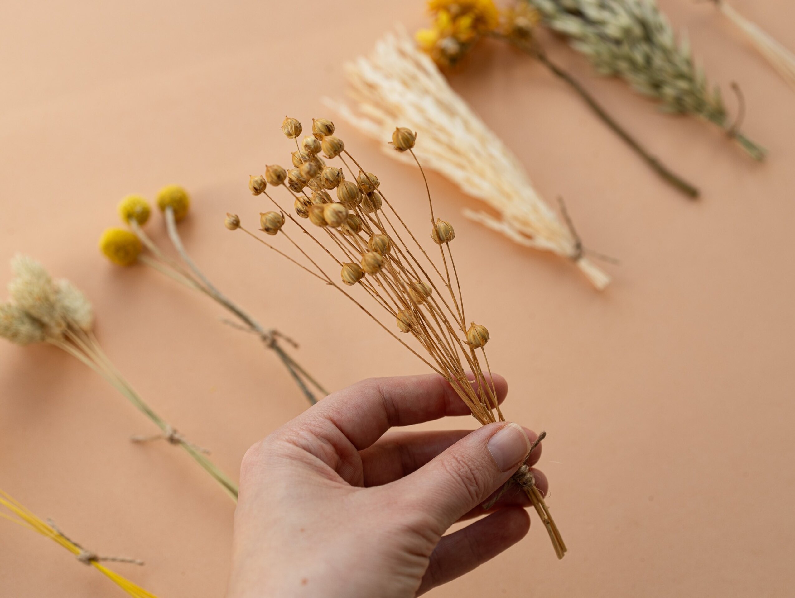 Kit de flores secas "Yellow Meadow" 16 cm para manualidades - 7