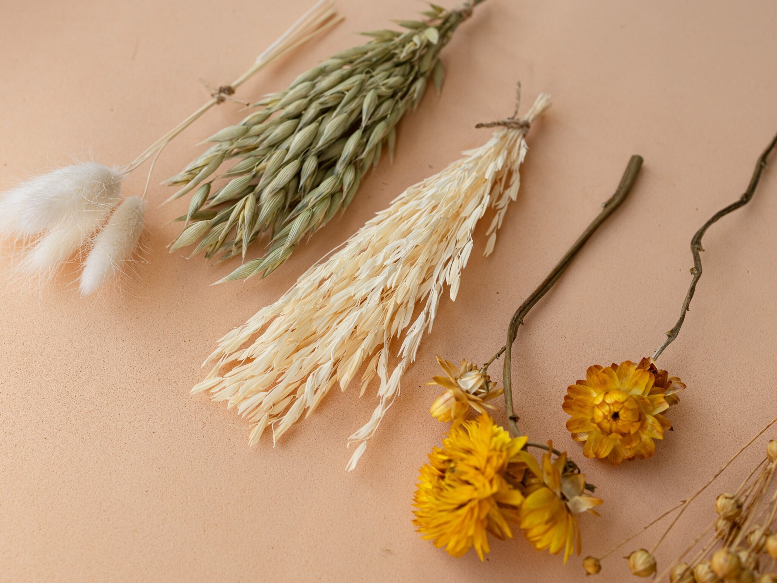 Kit de flores secas "Yellow Meadow" 16 cm para manualidades - 9