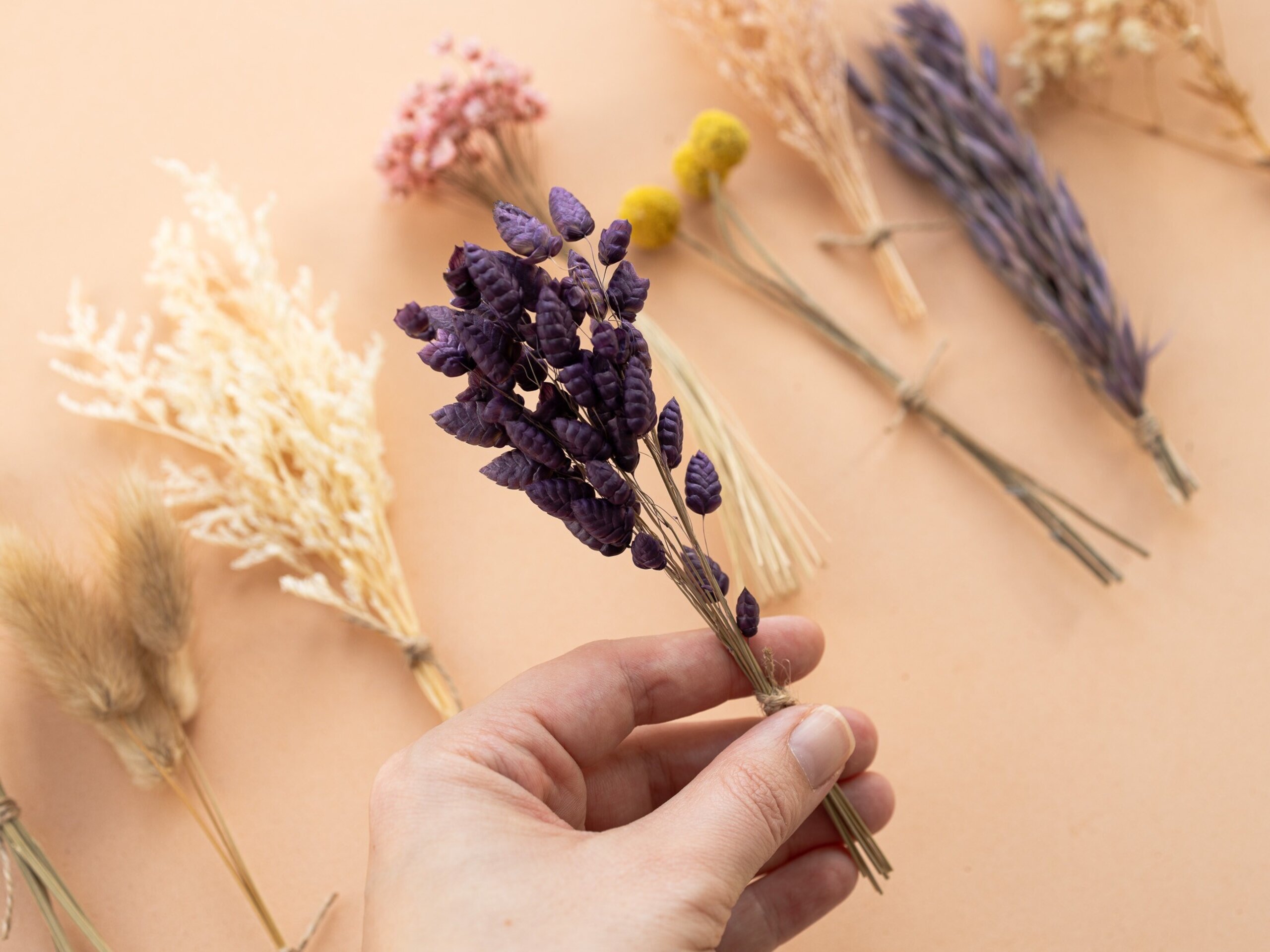 Kit de flores secas "Purple Bloom" 16 cm para manualidades - 5