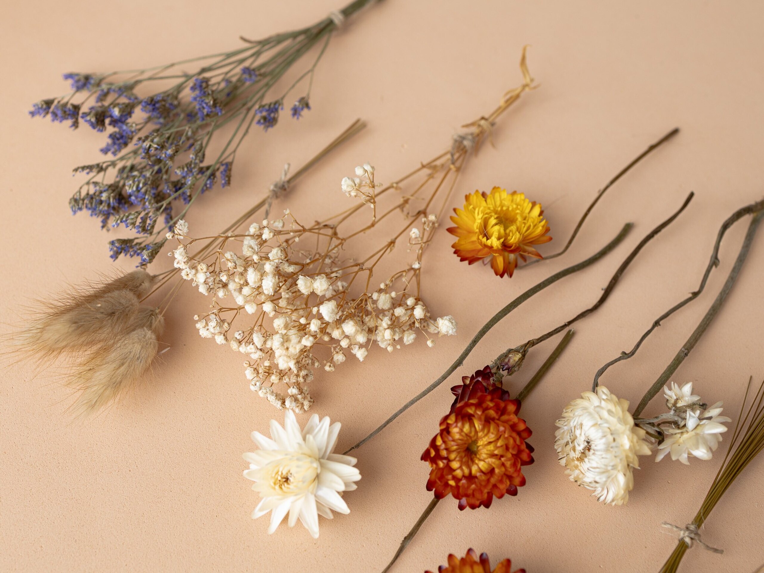 Kit de flores secas "Terracotta" 16 cm para manualidades - 7