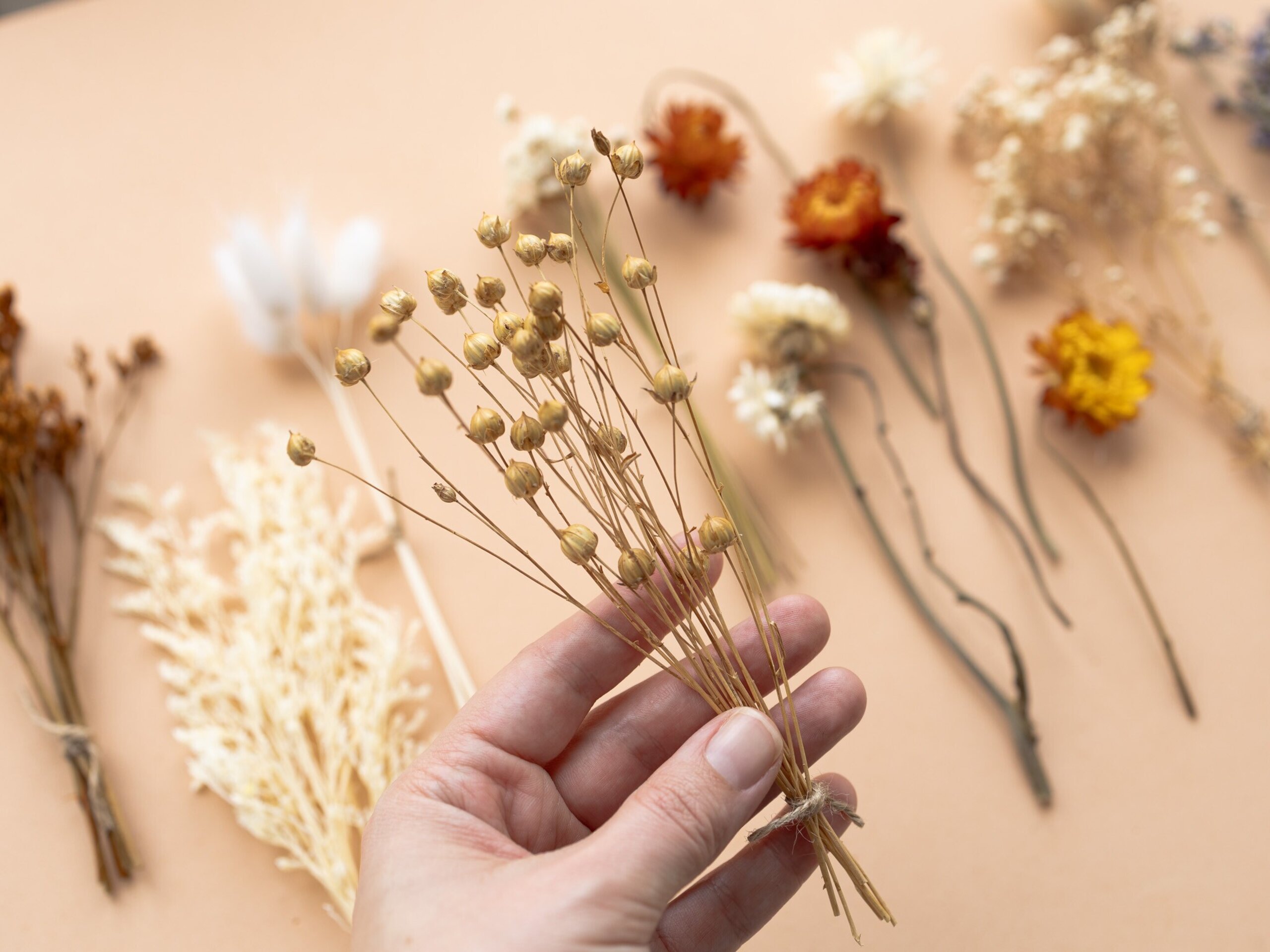 Kit de flores secas "Terracotta" 16 cm para manualidades - 4