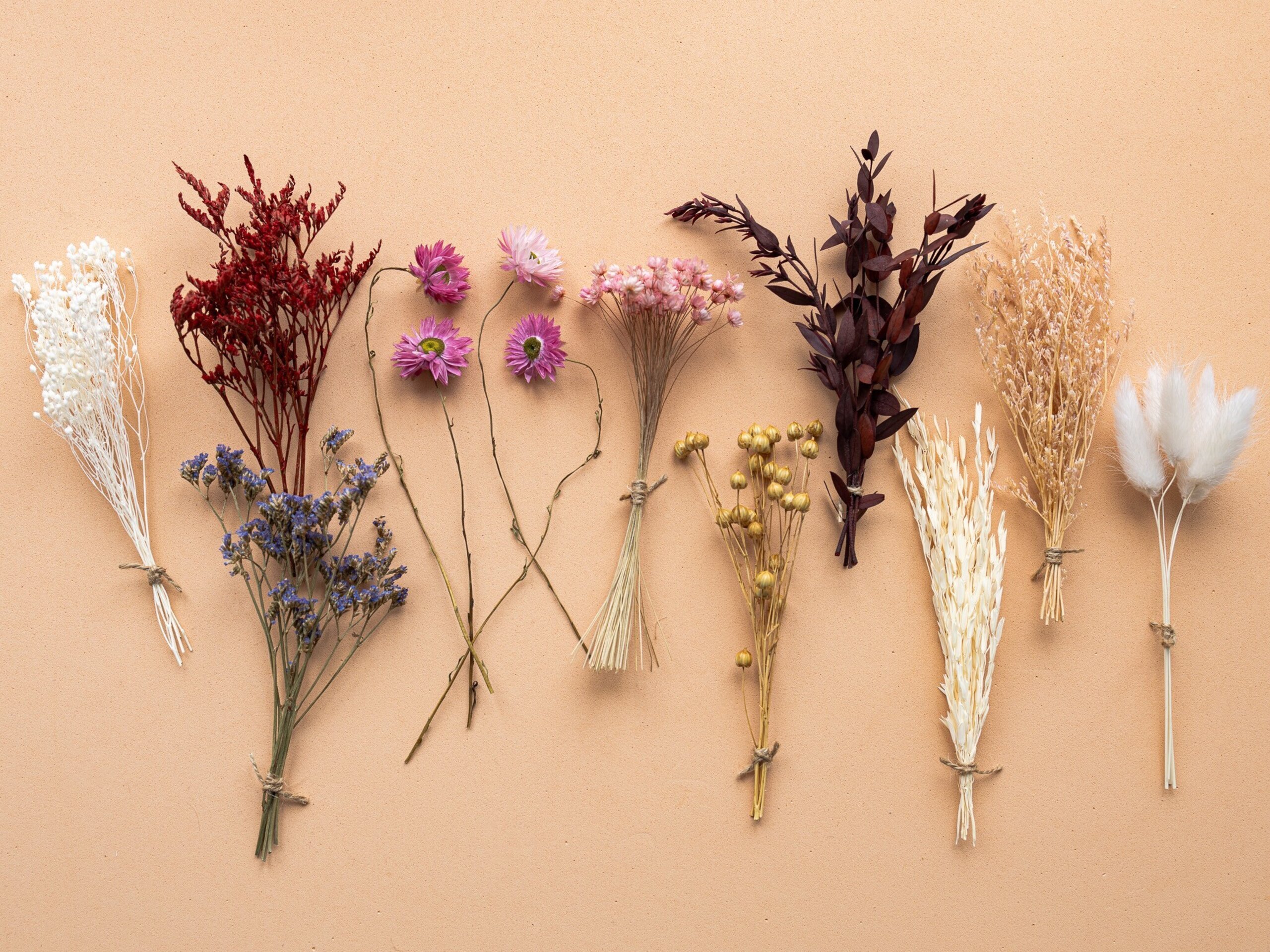 Kit de flores secas "Pink Bloom" 16 cm para manualidades - 2